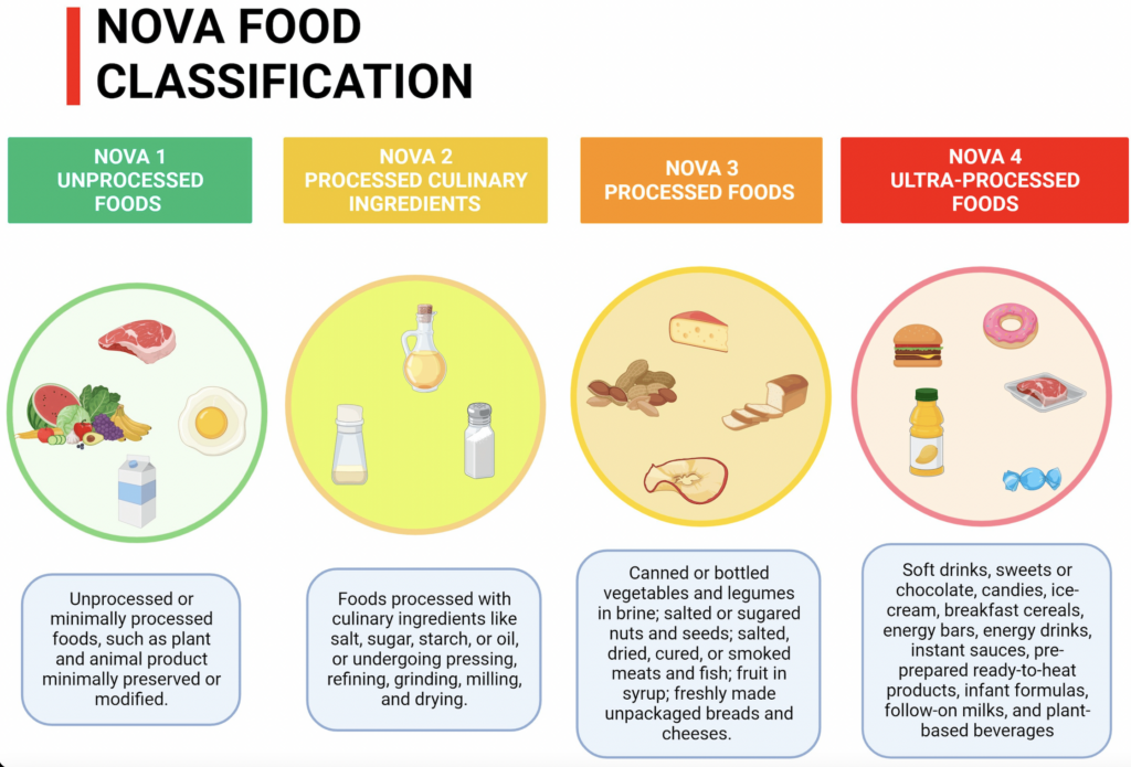 Figure 1. NOVA Food Classification.