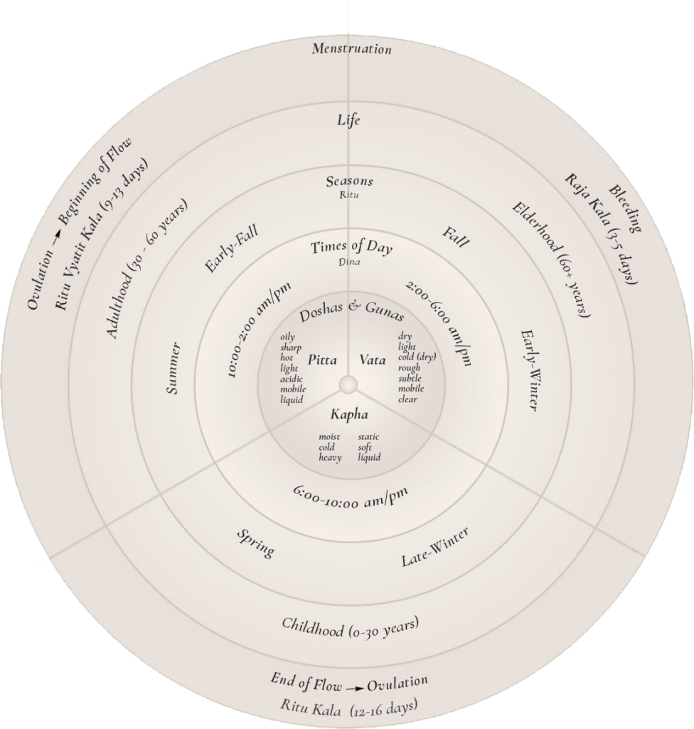 Ayurvedic Cyclical Living Guide circular diagram illustrating the alignment of daily cycles, menstrual phases, life stages, and seasons with Ayurvedic doshas, detailing each dosha's qualities.