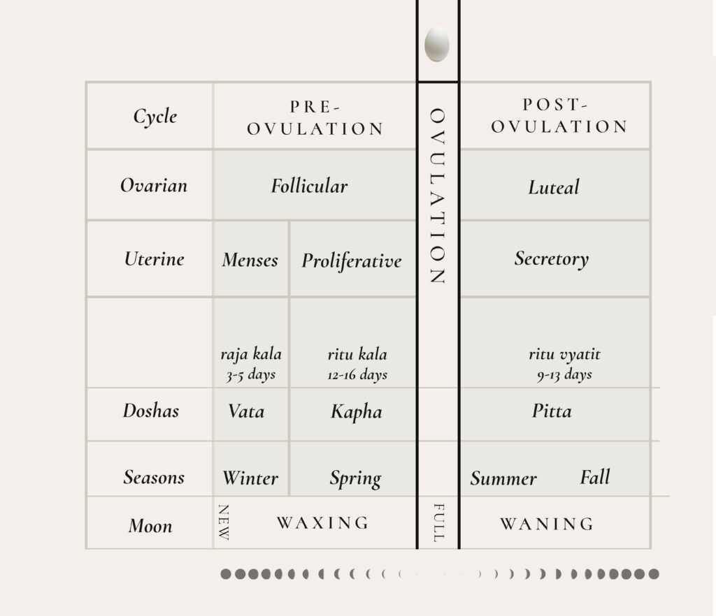 This visual shows how each phase—Follicular, Ovulation, and Luteal—mirrors nature’s rhythms, guiding self-care, productivity, and balance. For a deeper dive, explore the full blog post. 